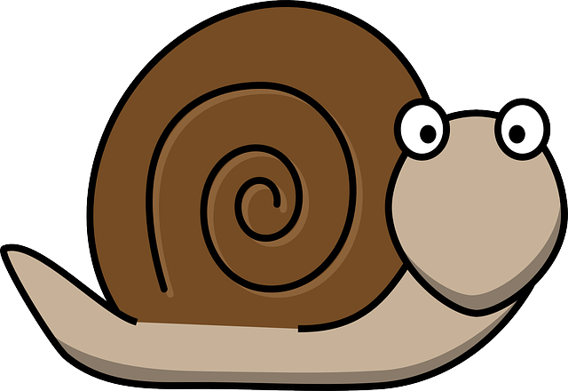 snail-160313_640